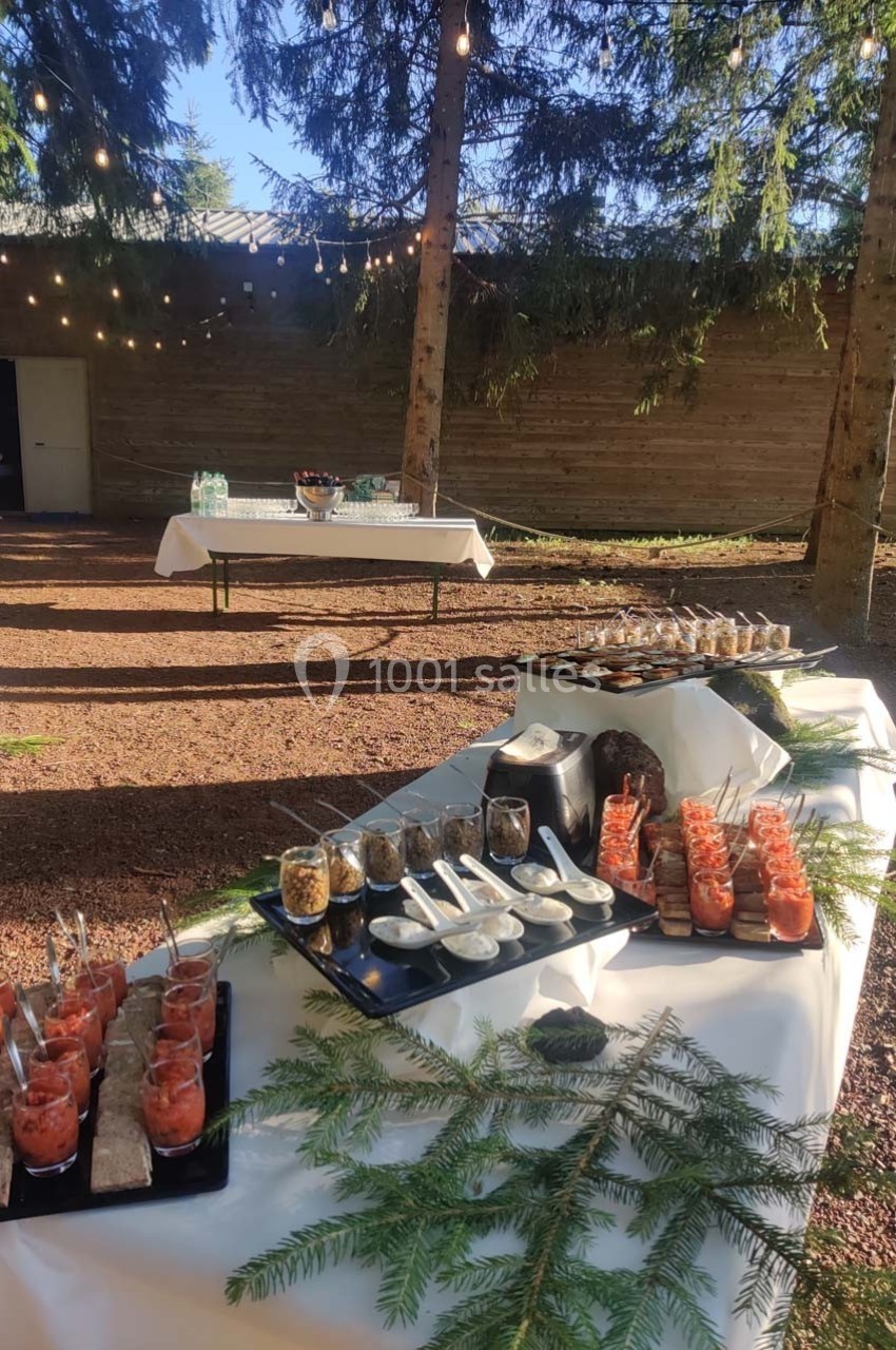 Buffet en plein air avec verrines et plats disposés sur des tables, entouré d'arbres et de guirlandes lumineuses.