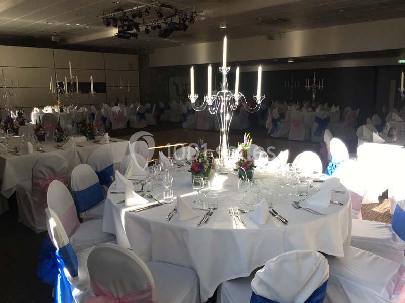 Location salle Divonne-les-Bains (Ain) - La Villa Du Lac #7