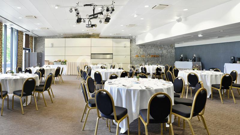 Location salle Divonne-les-Bains (Ain) - La Villa Du Lac #8