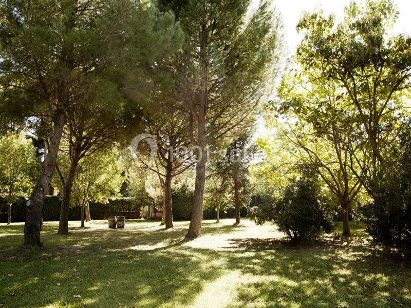 Location salle Pérols (Hérault) - Eurotel - Domaine Du Petit Malherbes #7