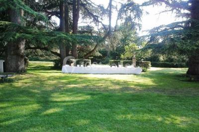 Intérieur d'une tente de réception avec tables rondes décorées, chaises en bois clair et lumière naturelle.