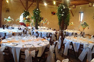 Intérieur d'une tente de réception avec tables rondes décorées, chaises en bois clair et lumière naturelle.