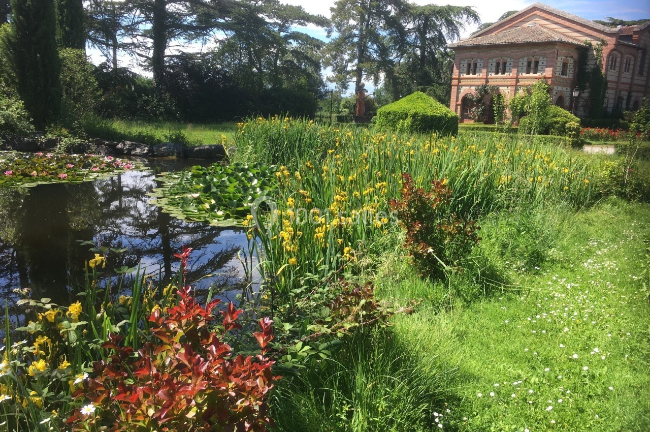 Étang bordé de plantes et de fleurs jaunes, avec un bâtiment en briques rouges et des arbres en arrière-plan.