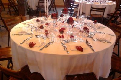 Intérieur d'une tente de réception avec tables rondes décorées, chaises en bois clair et lumière naturelle.