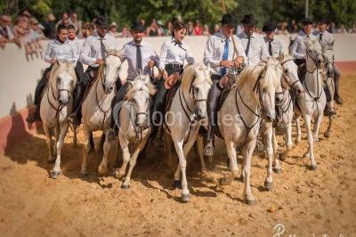 Location salle Candillargues (Hérault) - Mas Du Tamaris #24