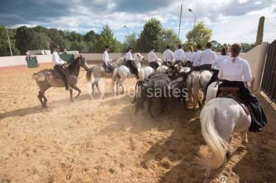 Location salle Candillargues (Hérault) - Mas Du Tamaris #24