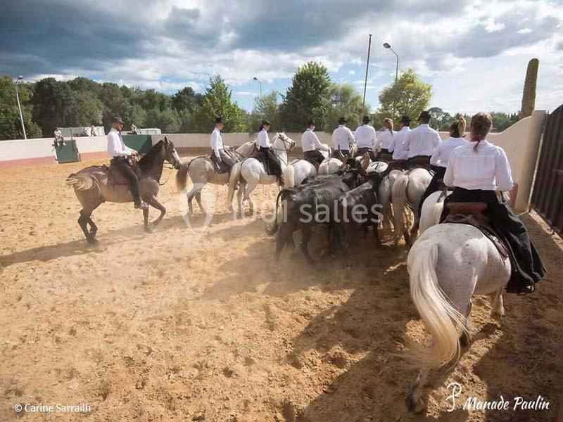 Location salle Candillargues (Hérault) - Mas Du Tamaris #18