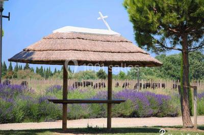 Location salle Candillargues (Hérault) - Mas Du Tamaris #24