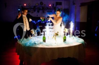 Un grand groupe de personnes posant ensemble en extérieur, devant un paysage verdoyant avec des arbres.