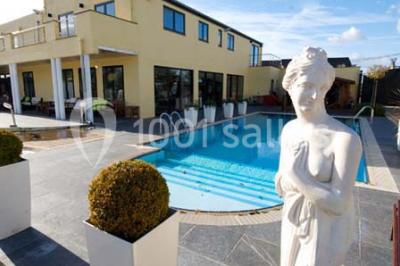 Vue d'une maison moderne avec piscine, statue décorative au premier plan et ciel dégagé en arrière-plan.