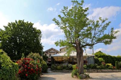 Menu posé sur une table dressée en extérieur, entourée de verres, fleurs et paysage verdoyant en arrière-plan.