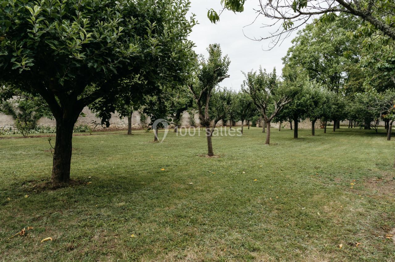 Verger avec des arbres fruitiers espacés, sur une pelouse bien entretenue, sous un ciel légèrement couvert.