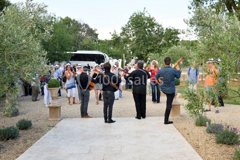 Location salle Lansargues (Hérault) - Manade Boch #2