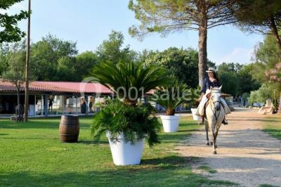 Location salle Lansargues (Hérault) - Manade Boch #24