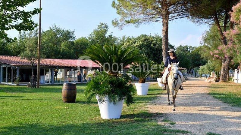 Manade Boch - galerie - photo 4