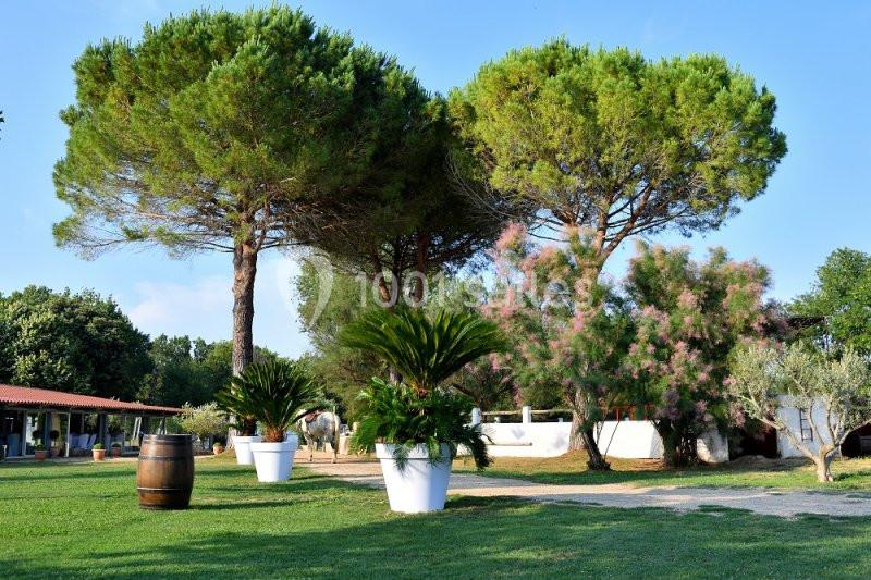 Location salle Lansargues (Hérault) - Manade Boch #3