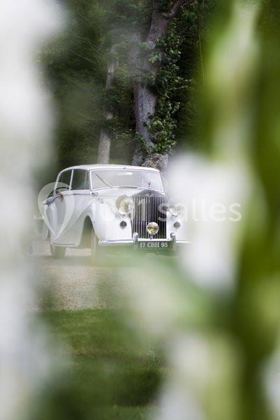 Voiture ancienne blanche stationnée sur une allée, partiellement encadrée par un flou végétal au premier plan.