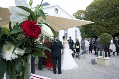 Un parc de nuit avec des arbres sombres, une structure lumineuse orange et des chemins faiblement éclairés.