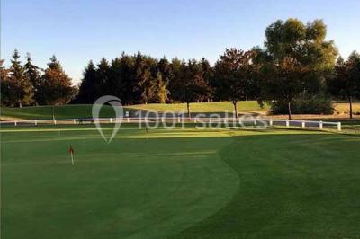 Vue d'un terrain de golf avec un green bien entretenu, entouré d'arbres et éclairé par une lumière douce en fin de journée.