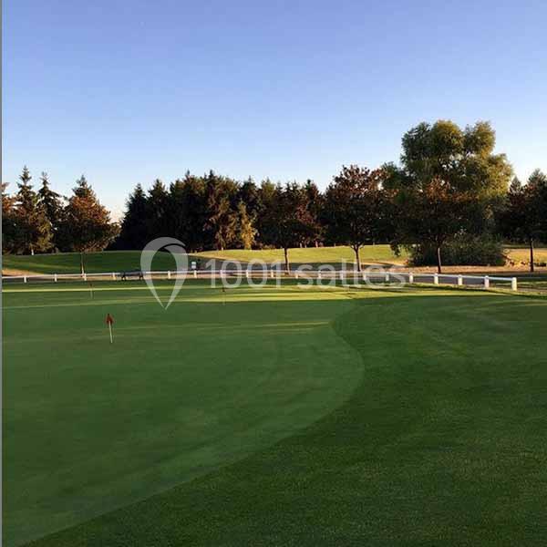 Vue d'un terrain de golf avec un green bien entretenu, entouré d'arbres et éclairé par une lumière douce en fin de journée.