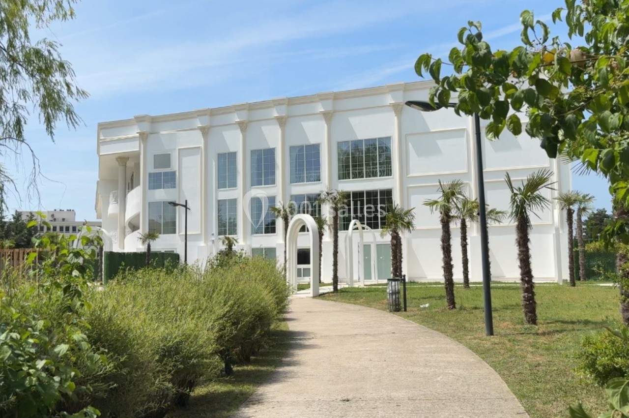 Bâtiment blanc moderne entouré de palmiers et de verdure, avec un chemin piétonnier menant à l'entrée principale.