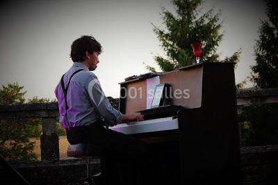 Paysage matinal avec un grand arbre isolé dans une prairie, entouré de brume et éclairé par une lumière douce.