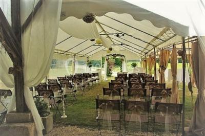 Paysage matinal avec un grand arbre isolé dans une prairie, entouré de brume et éclairé par une lumière douce.