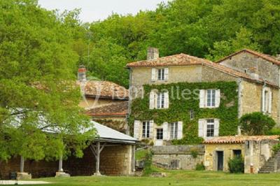 Paysage matinal avec un grand arbre isolé dans une prairie, entouré de brume et éclairé par une lumière douce.