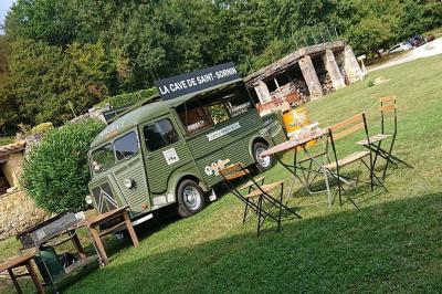Paysage matinal avec un grand arbre isolé dans une prairie, entouré de brume et éclairé par une lumière douce.