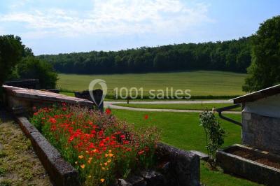 Arbre solitaire sans feuilles dans un champ givré au lever du jour, avec un chemin et des arbres en arrière-plan.