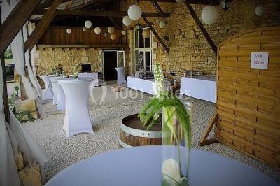 Arbre solitaire sans feuilles dans un champ givré au lever du jour, avec un chemin et des arbres en arrière-plan.