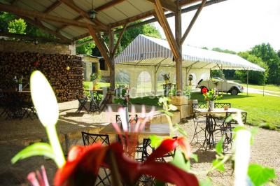 Arbre solitaire sans feuilles dans un champ givré au lever du jour, avec un chemin et des arbres en arrière-plan.