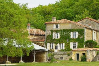 Arbre solitaire sans feuilles dans un champ givré au lever du jour, avec un chemin et des arbres en arrière-plan.
