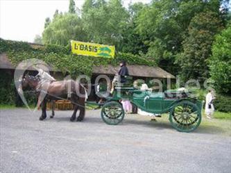 Location salle Winnezeele (Nord) - A L'oasis #10