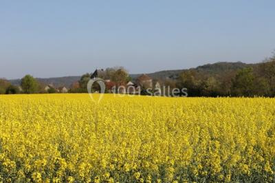 Location salle Saint-Loup-de-Naud (Seine-et-Marne) - Ferme de la Haute Maison #47