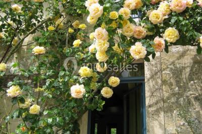 Location salle Saint-Loup-de-Naud (Seine-et-Marne) - Ferme de la Haute Maison #47