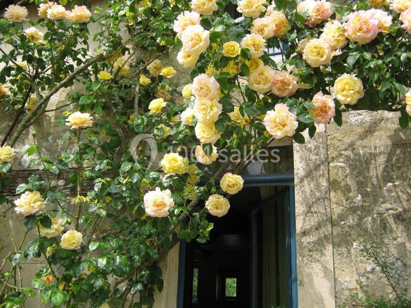 Location salle Saint-Loup-de-Naud (Seine-et-Marne) - Ferme de la Haute Maison #21