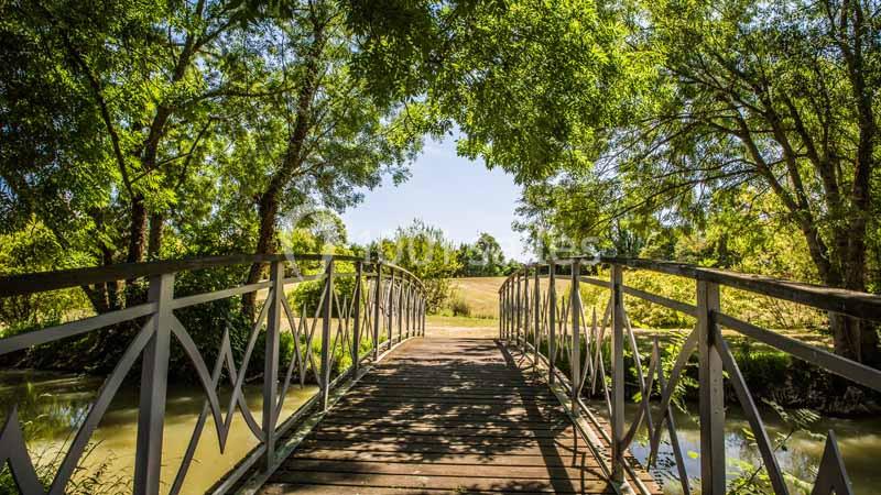 Location salle Chemellier (Maine-et-Loire) - Le Prieuré Saint Ellier #17
