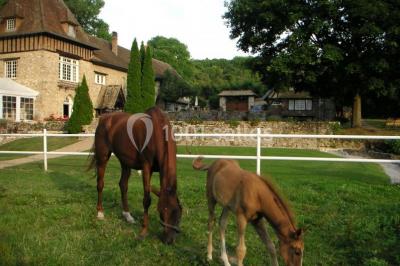 Salle lumineuse avec une grande table rectangulaire couverte d'une nappe bleue, entourée de chaises rouges, et une fenêtre…