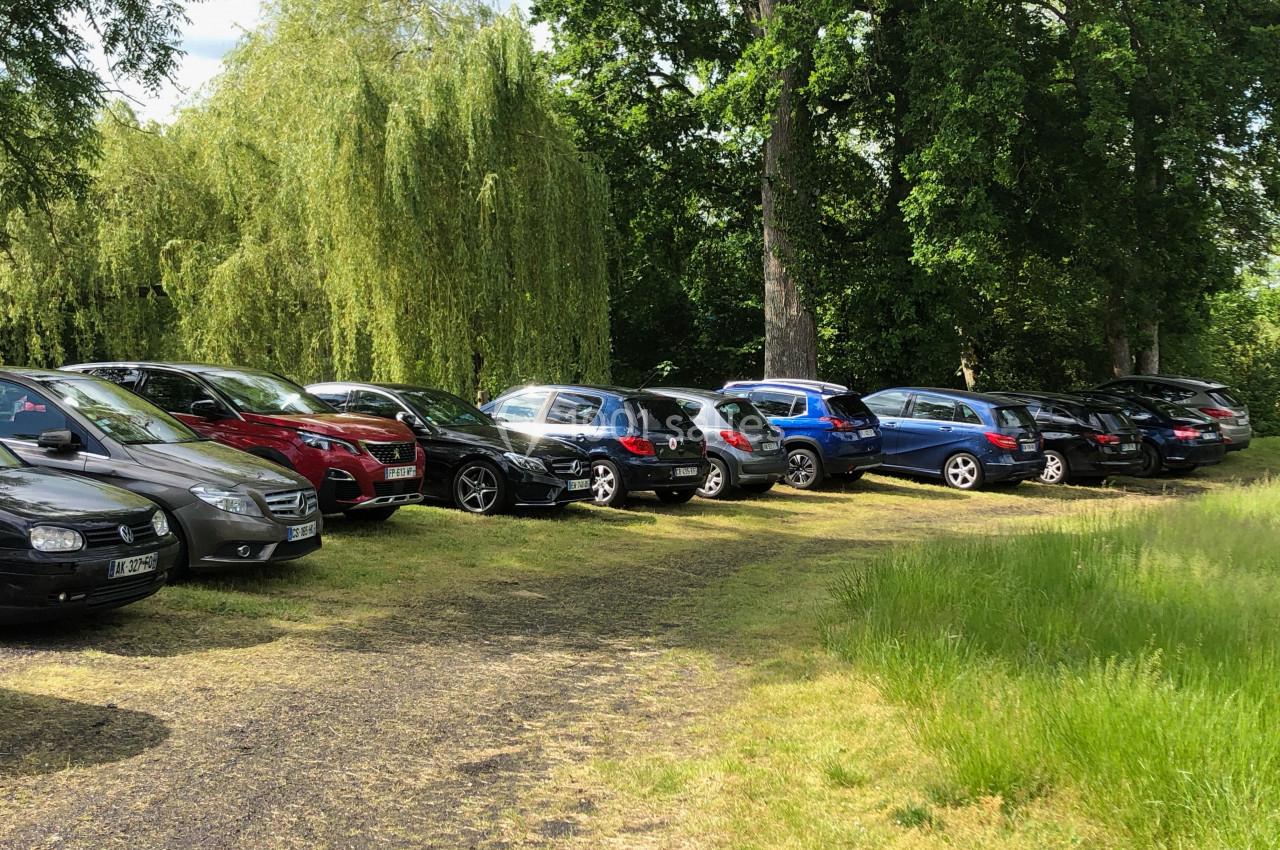 Voitures garées en ligne sur un chemin herbeux bordé d'arbres et de verdure.