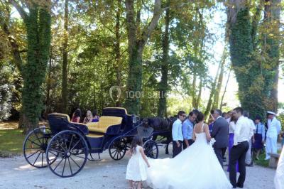 Location salle Peyregoux (Tarn) - Domaine du Moulin Haut #21