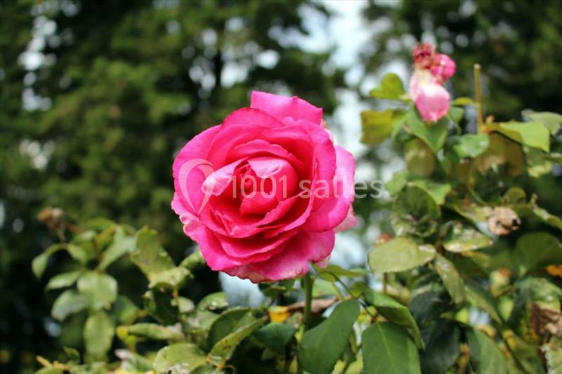 Location salle Mondragon (Vaucluse) - Domaine De La Tapie #20