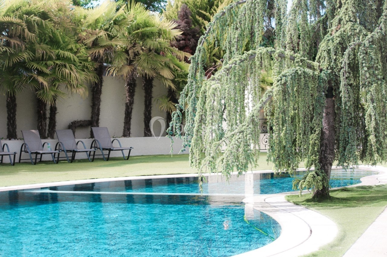 Piscine extérieure bordée de chaises longues, entourée de palmiers et d'arbres aux branches tombantes.