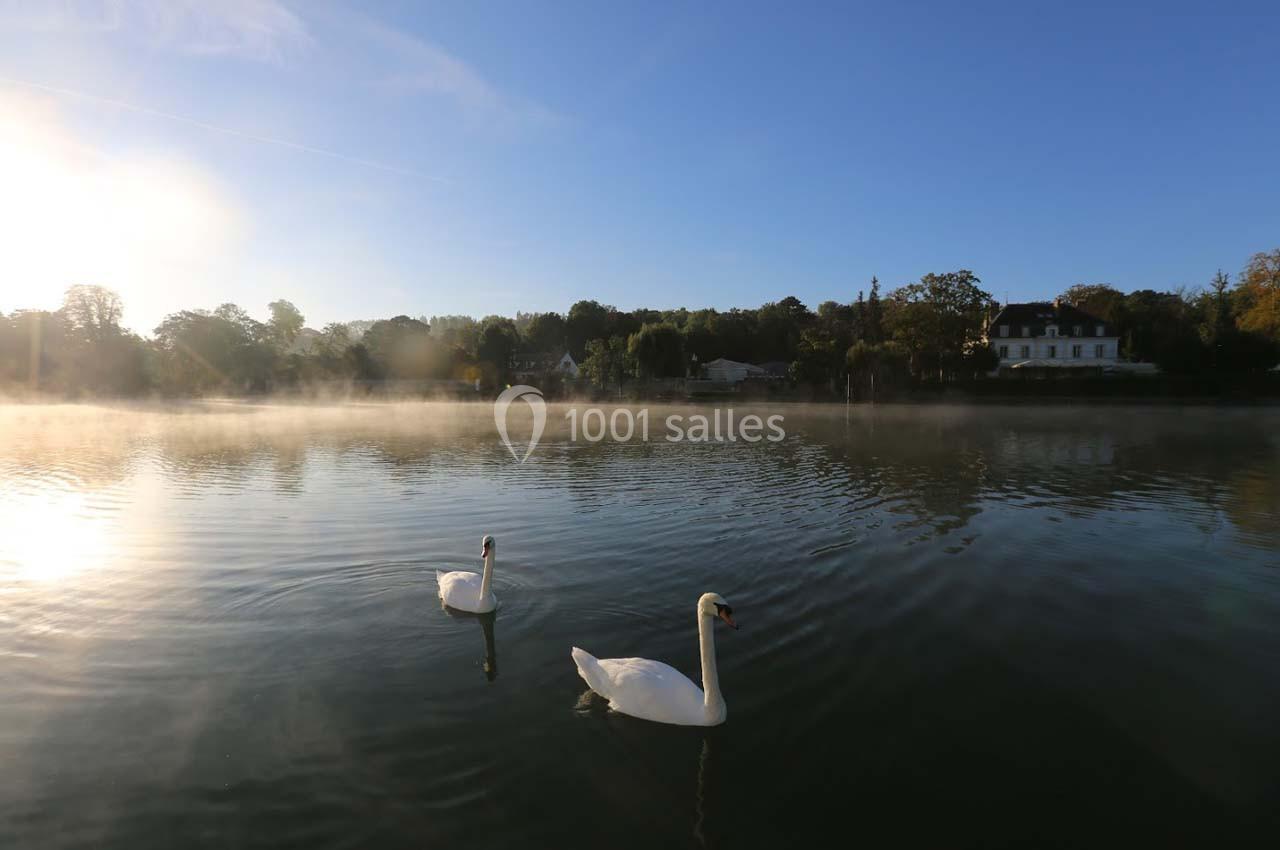 Deux cygnes nageant sur un lac calme au lever du soleil, avec des maisons et des arbres en arrière-plan.