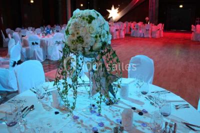 Location salle Cagnes-sur-Mer (Alpes-Maritimes) - Casino Terrazur #22