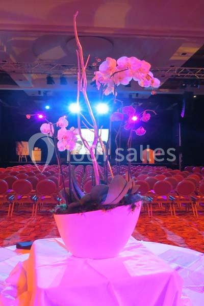 Location salle Cagnes-sur-Mer (Alpes-Maritimes) - Casino Terrazur #10