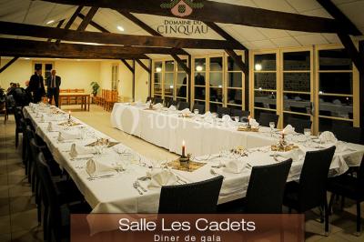 Location salle Artiguelouve (Pyrénées-Atlantiques) - Domaine du Cinquau #18