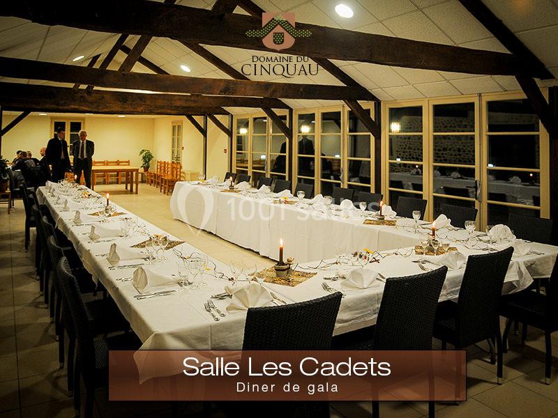 Location salle Artiguelouve (Pyrénées-Atlantiques) - Domaine du Cinquau #8