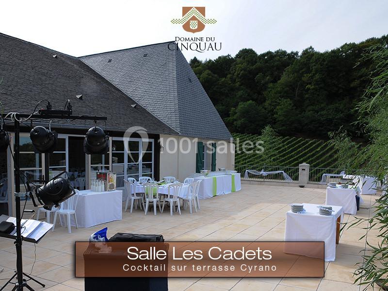 Location salle Artiguelouve (Pyrénées-Atlantiques) - Domaine du Cinquau #11