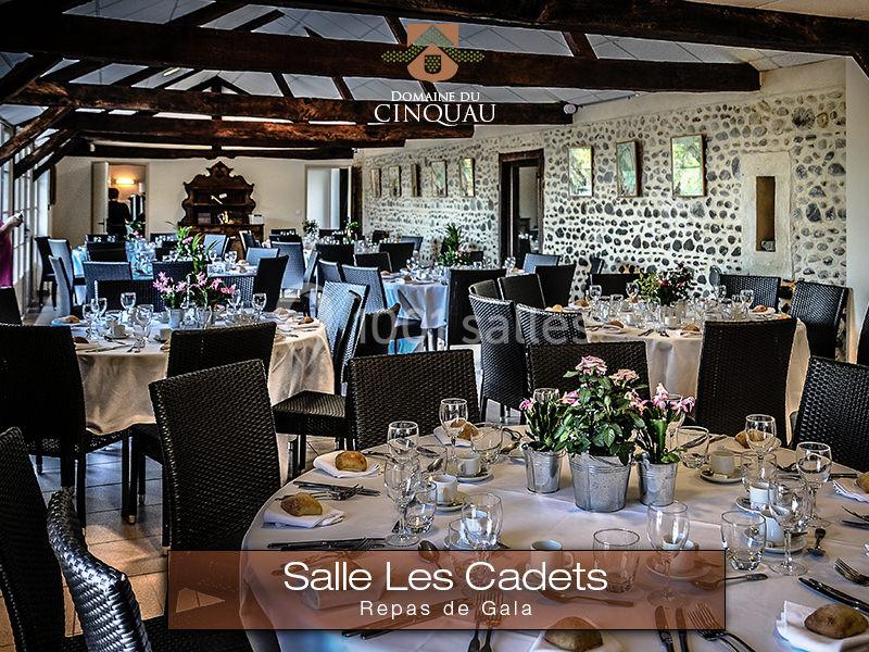 Location salle Artiguelouve (Pyrénées-Atlantiques) - Domaine du Cinquau #9